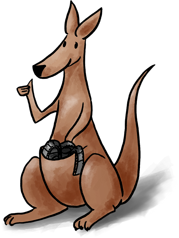 Cartoon Kangaroo With Camera Illustration