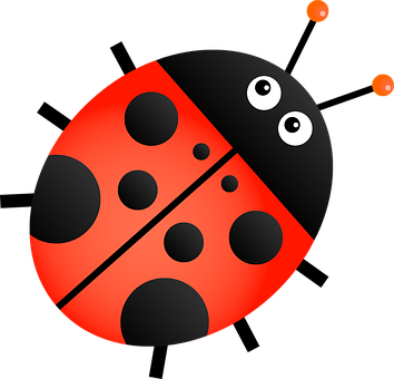 Cartoon Ladybug Graphic PNG with transparent background