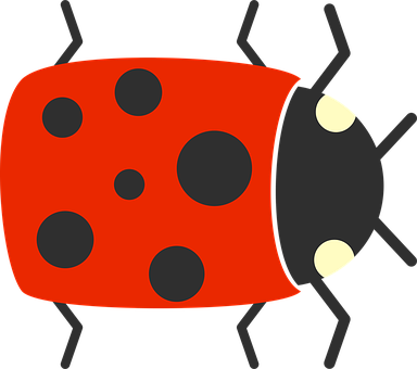 Cartoon Ladybug Illustration PNG with transparent background
