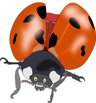 Cartoon Ladybug Illustration PNG with transparent background