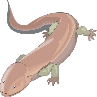 Cartoon Lizard Illustration