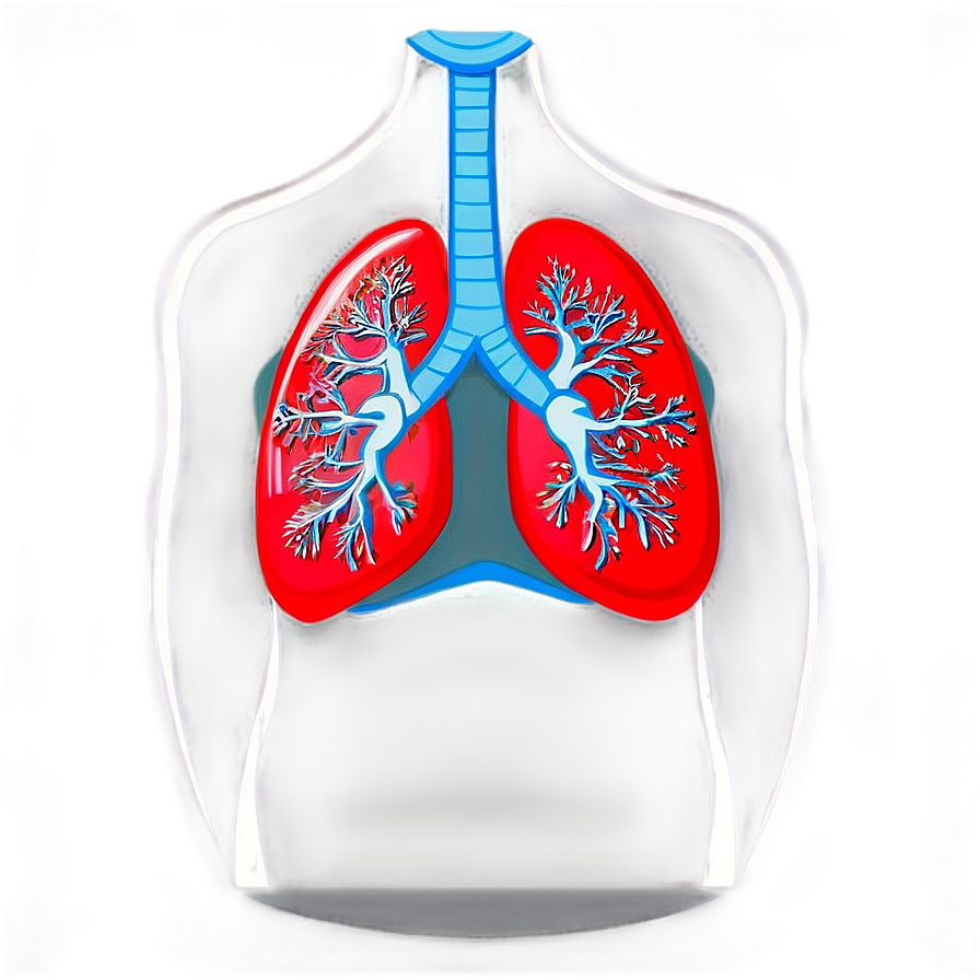 Cartoon Lungs Character Png 54