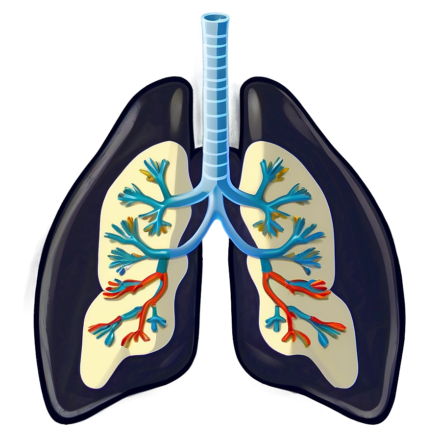 Cartoon Lungs Character PNG 6 PNG image with a transparent background, free high-resolution download