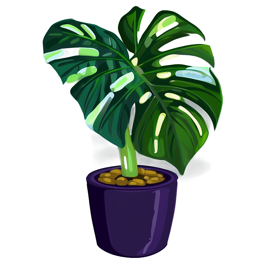 Cartoon Monstera Plant Png 72