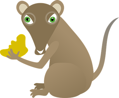 Cartoon Mousewith Cheese PNG with transparent background