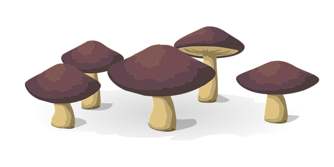 Cartoon_ Mushroom_ Cluster_ Vector PNG with transparent background