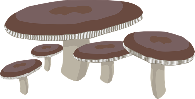 Cartoon Mushroom Family