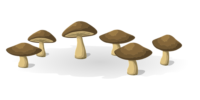 Cartoon_ Mushrooms_on_ Black_ Background PNG with transparent background