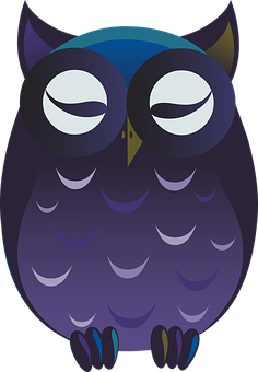 Cartoon Night Owl Graphic PNG with transparent background