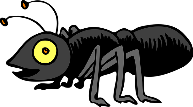 Cartoon Nighttime Insect PNG with transparent background