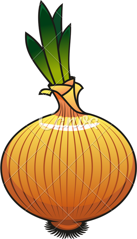 Cartoon Onion Illustration