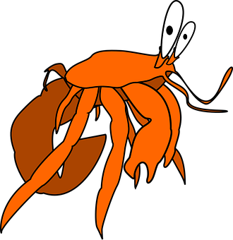 Cartoon_ Orange_ Hermit_ Crab_ Vector