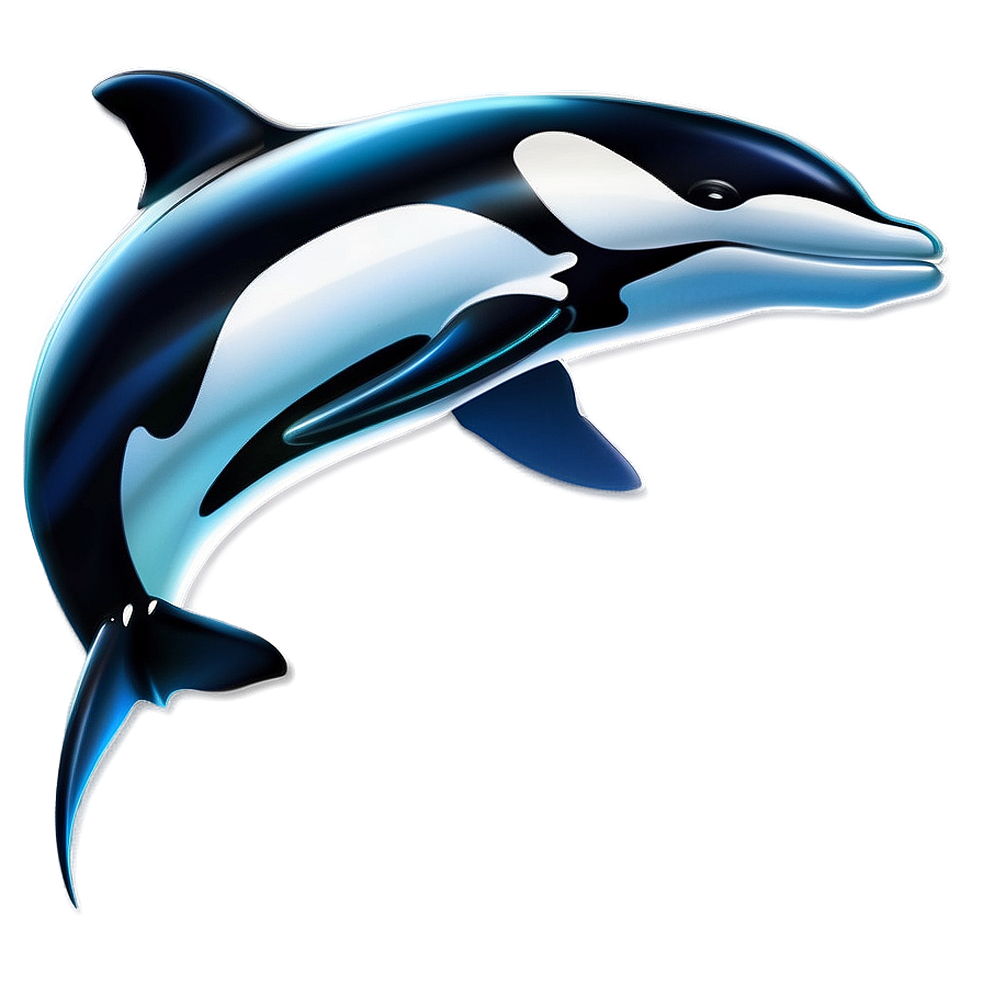 Cartoon Orca Png 05242024