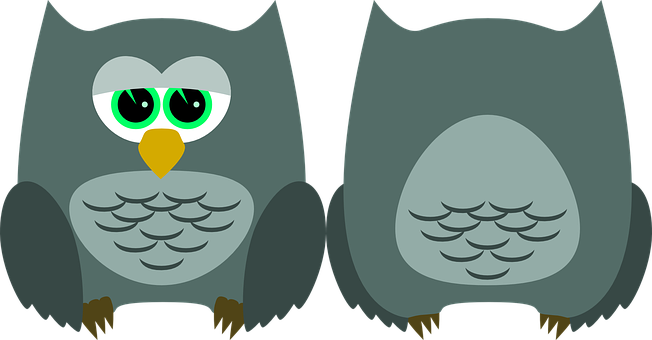 Cartoon Owl Before After Illustration PNG with transparent background