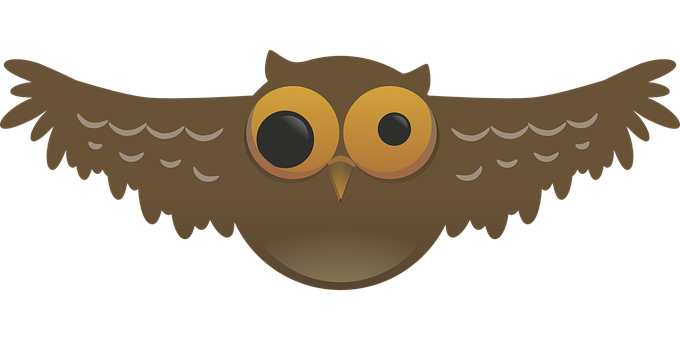 Cartoon Owl Graphic