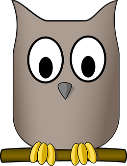 Cartoon Owl Perched PNG with transparent background