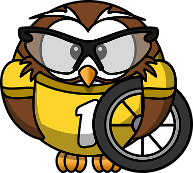 Cartoon Owl Racer Number One PNG with transparent background