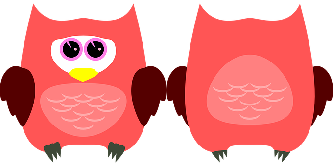 Cartoon Owl Twin Image PNG with transparent background