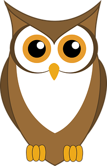 Cartoon_ Owl_ Vector_ Illustration