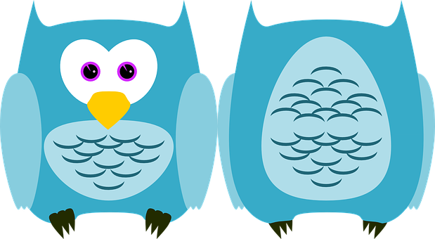 Cartoon Owls Twin Design PNG with transparent background