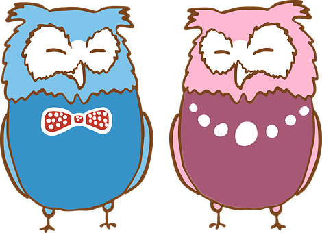 Cartoon Owlsin Bowties PNG with transparent background