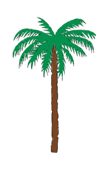 Cartoon Palm Tree Illustration PNG with transparent background
