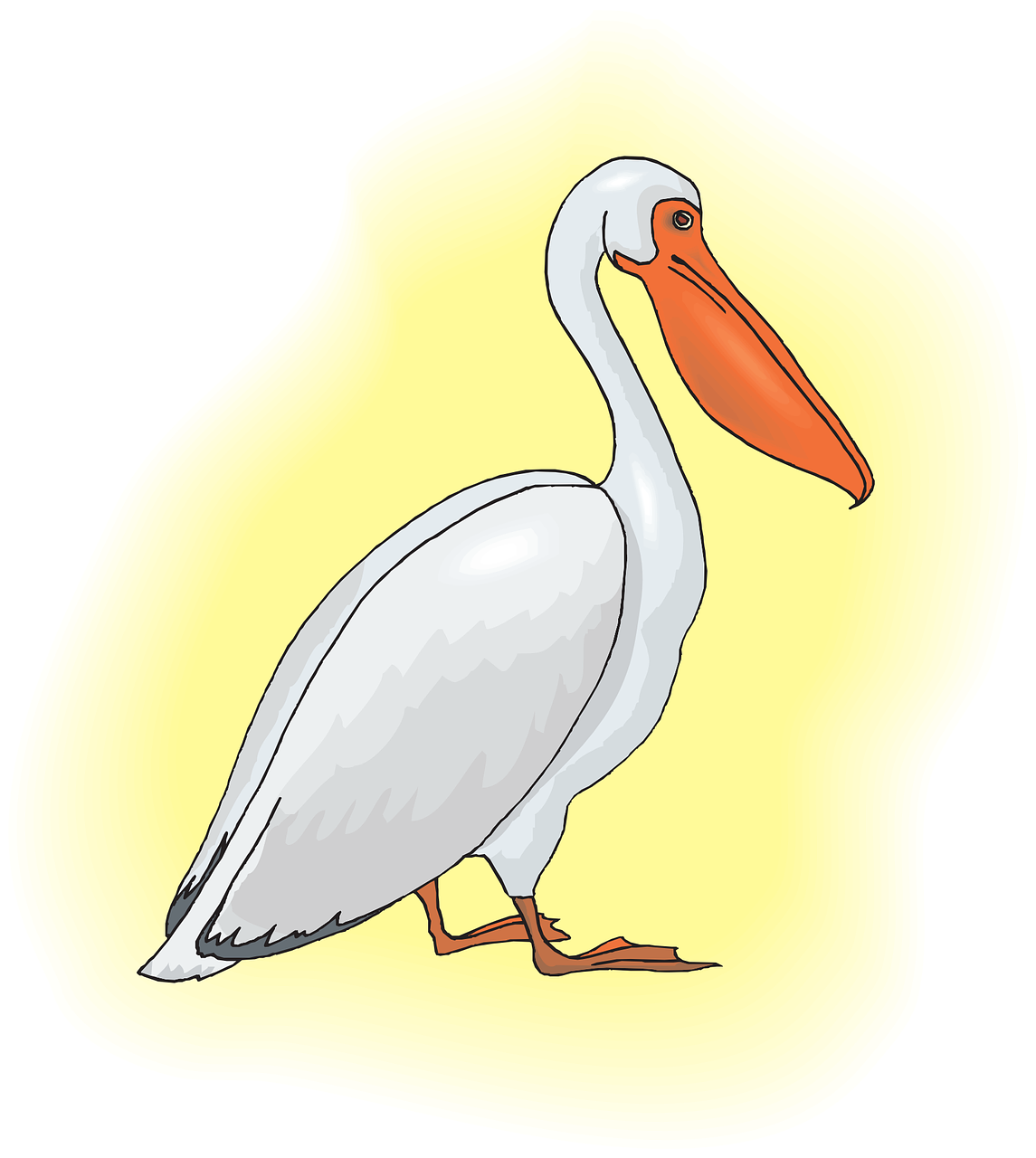 Cartoon Pelican Illustration