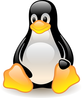 Cartoon Penguin Graphic PNG with transparent background
