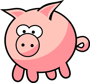 Cartoon Pig Vector Illustration