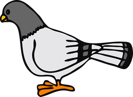 Cartoon Pigeon Illustration PNG with transparent background