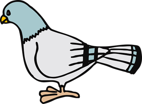 Cartoon Pigeon Illustration PNG with transparent background