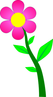 Cartoon Pink Flower Black Background