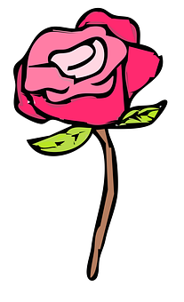 Cartoon Pink Rose Illustration PNG with transparent background