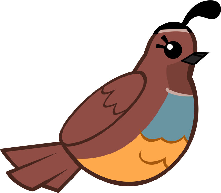 Cartoon Quail Illustration.png