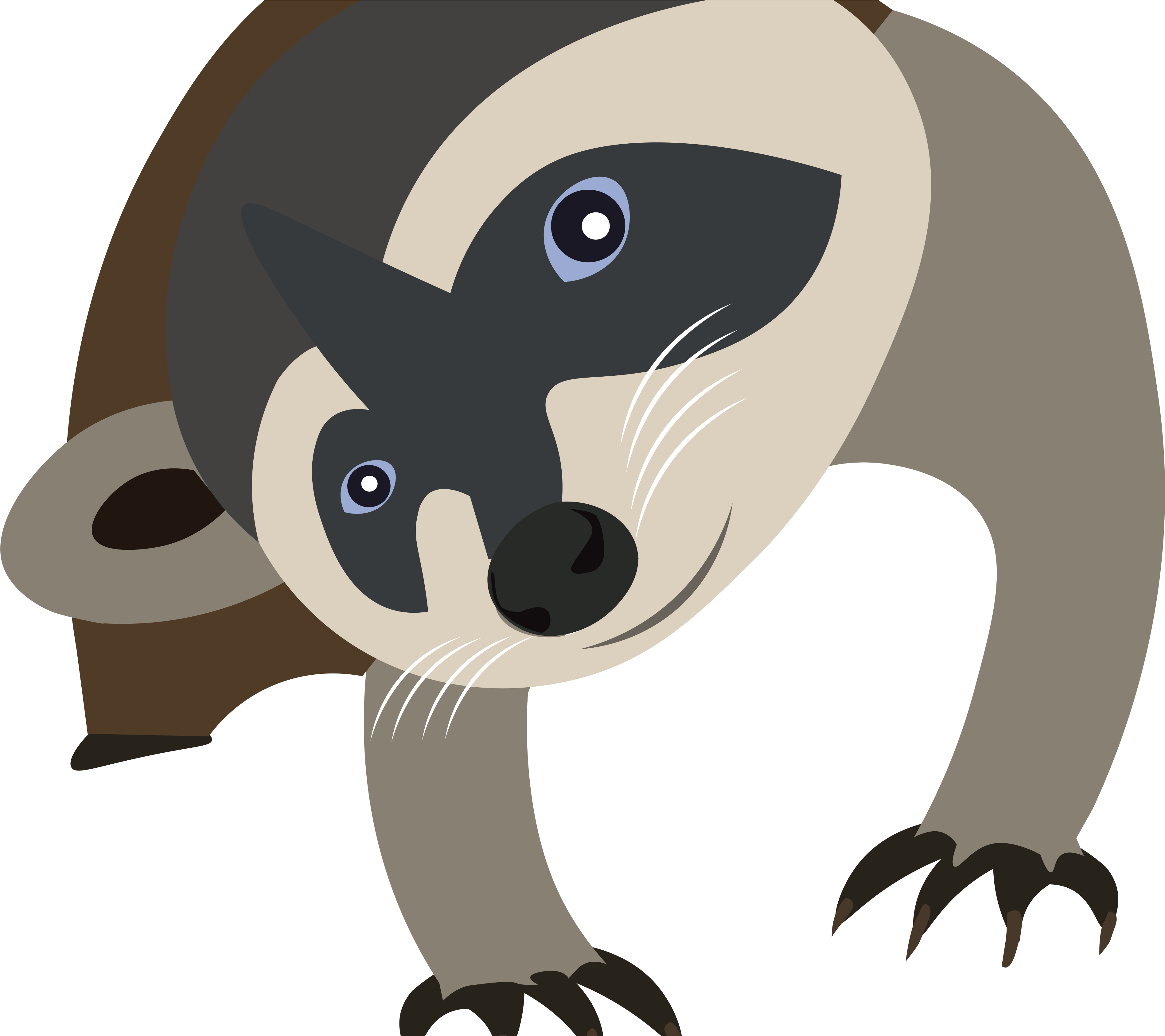 Cartoon Raccoon Illustration