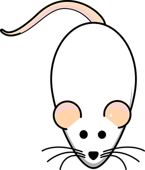 Cartoon Rat Head Graphic PNG with transparent background