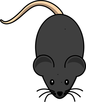 Cartoon Rat Top View Illustration PNG with transparent background