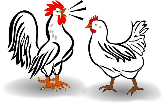 Cartoon Rooster Illusion PNG with transparent background