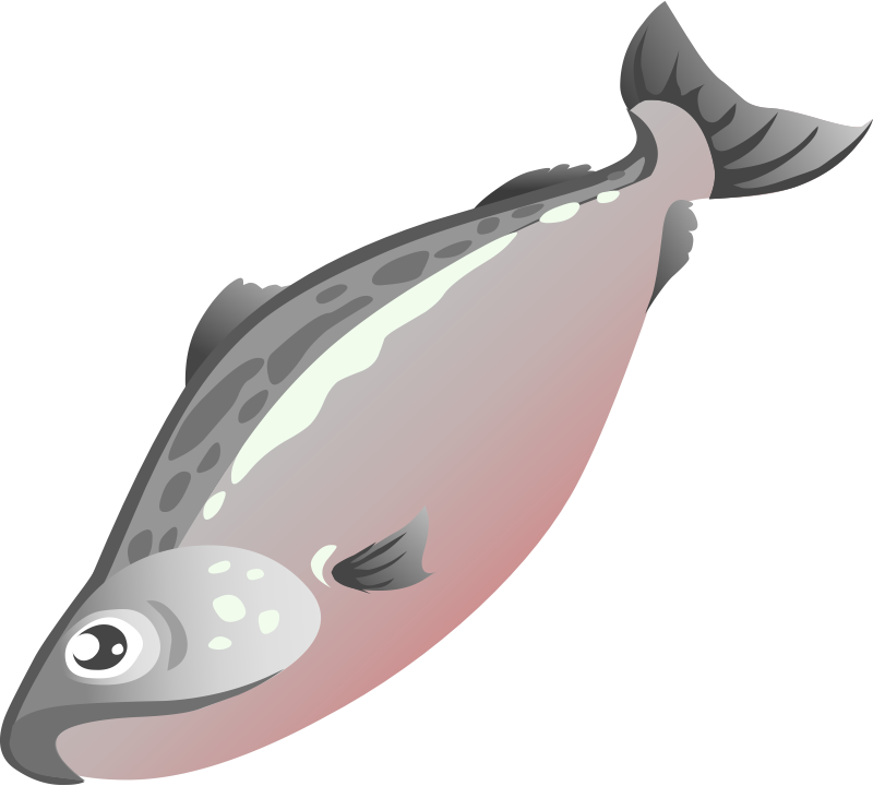 Cartoon Salmon Illustration