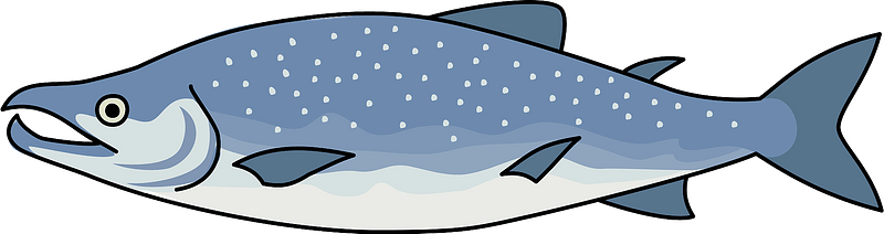 Salmon Fish Clipart, HD Png Download PNG with transparent background