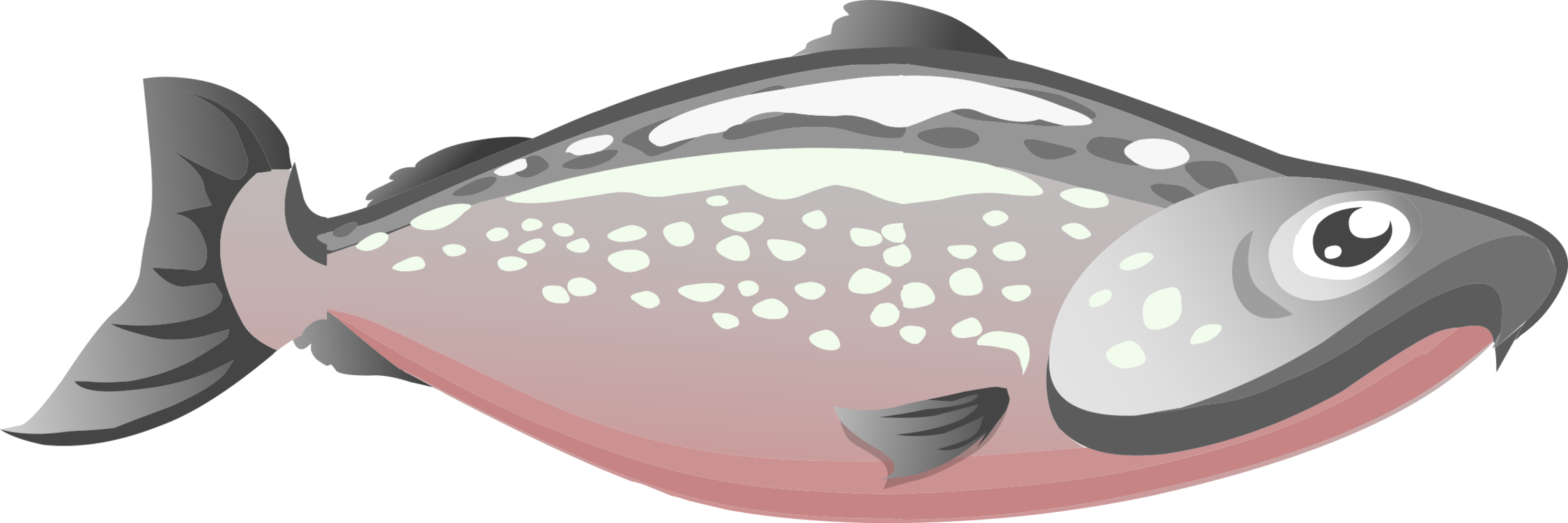Pink,jaw,fish - Salmon Clipart Png, Transparent Png PNG with transparent background