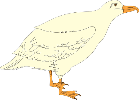 Cartoon Seagull Standing