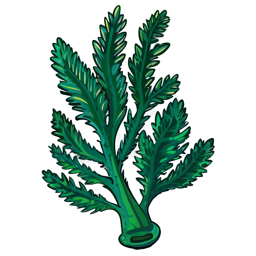 Cartoon Seaweed Image PNG 05242024 PNG with transparent background