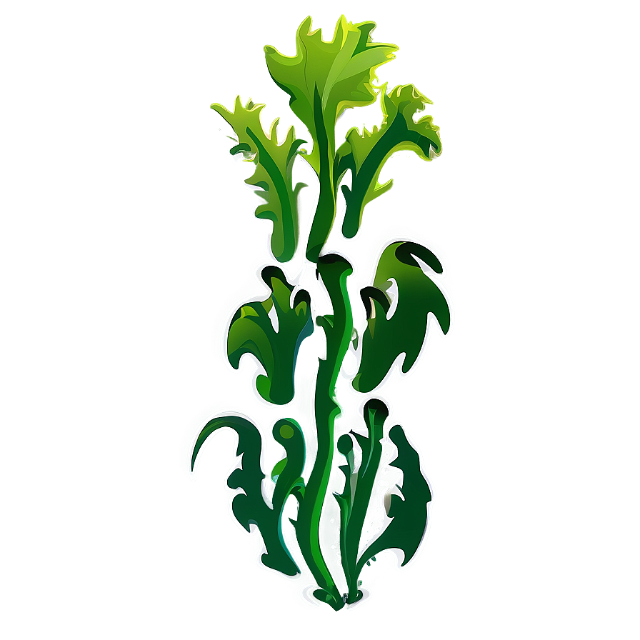 Cartoon Seaweed Image PNG lry PNG with transparent background