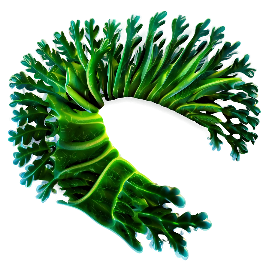 Cartoon Seaweed Image PNG yhk48 PNG with transparent background