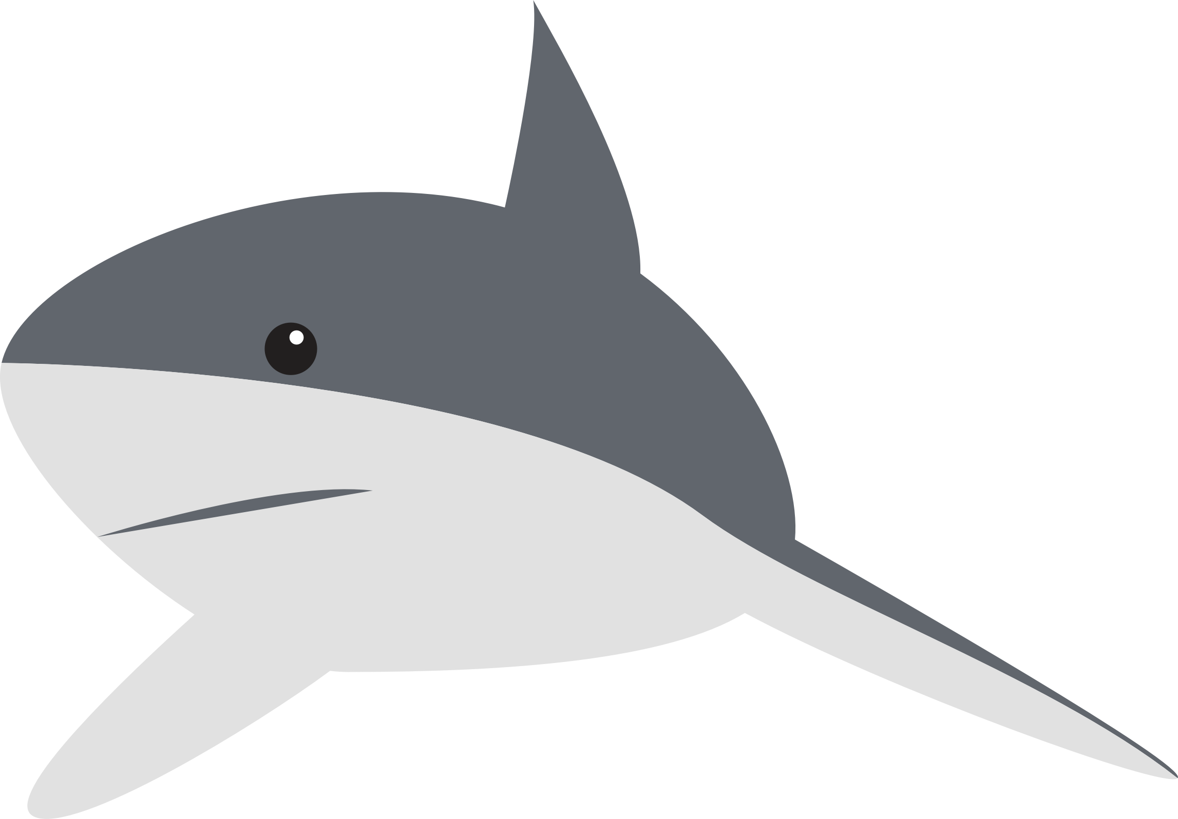 Cartoon Shark Illustration