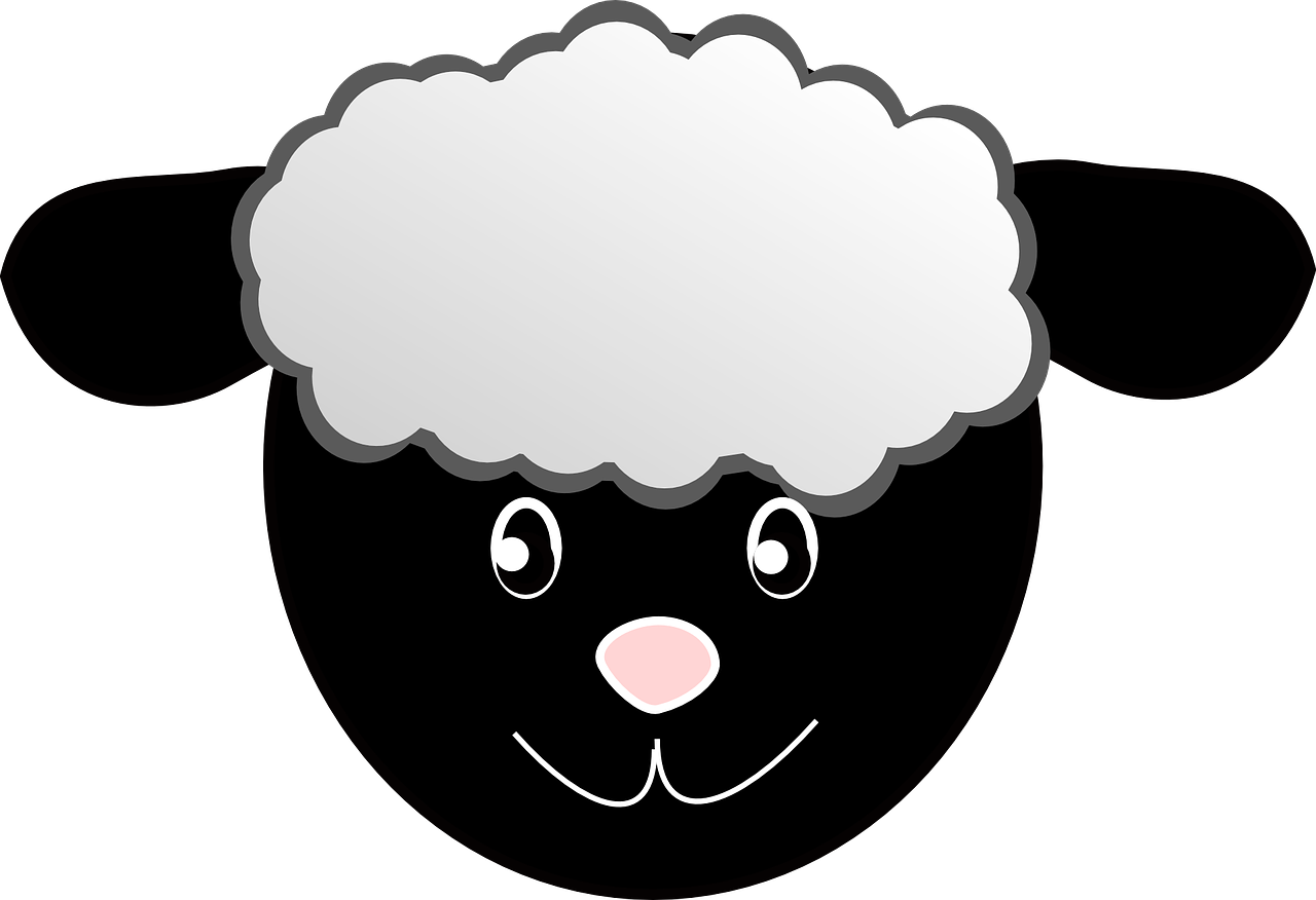 Cartoon Sheep Graphic