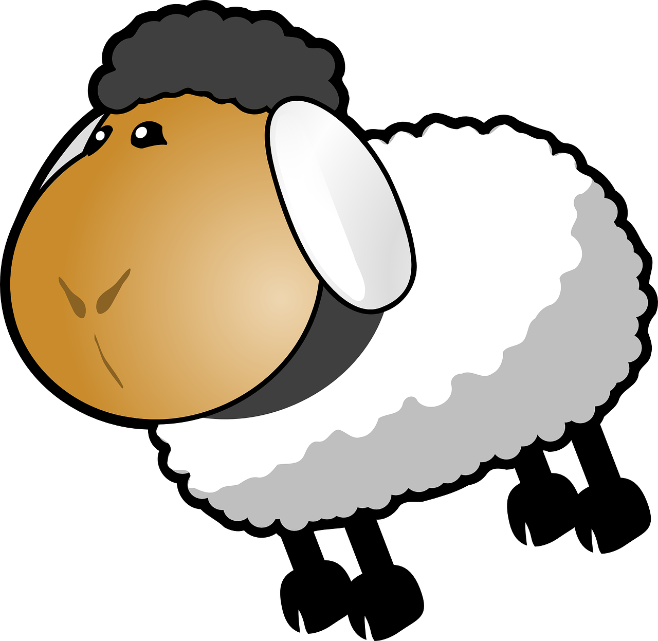 Cartoon Sheep Illustration