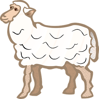 Cartoon Sheep Illustration