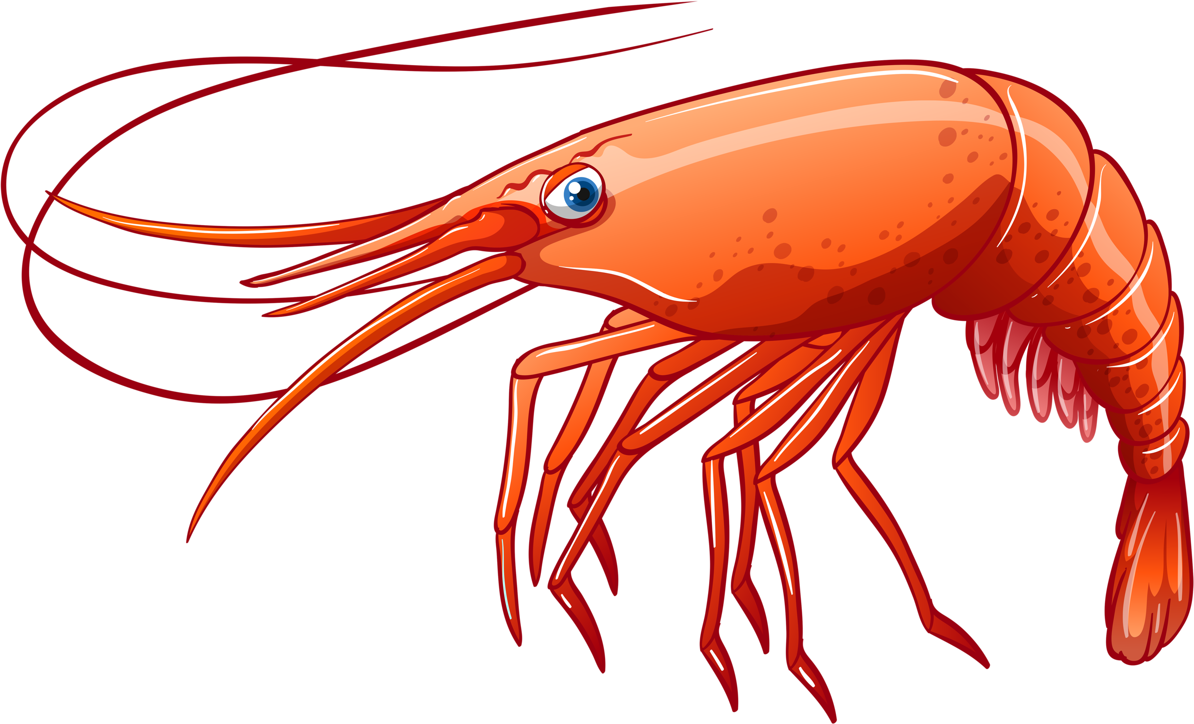 Png Clip Art - Transparent Background Shrimp Clipart, Png Download PNG with transparent background